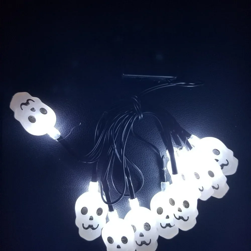 Halloween Skull light for indoor use requires 2 AA batteries